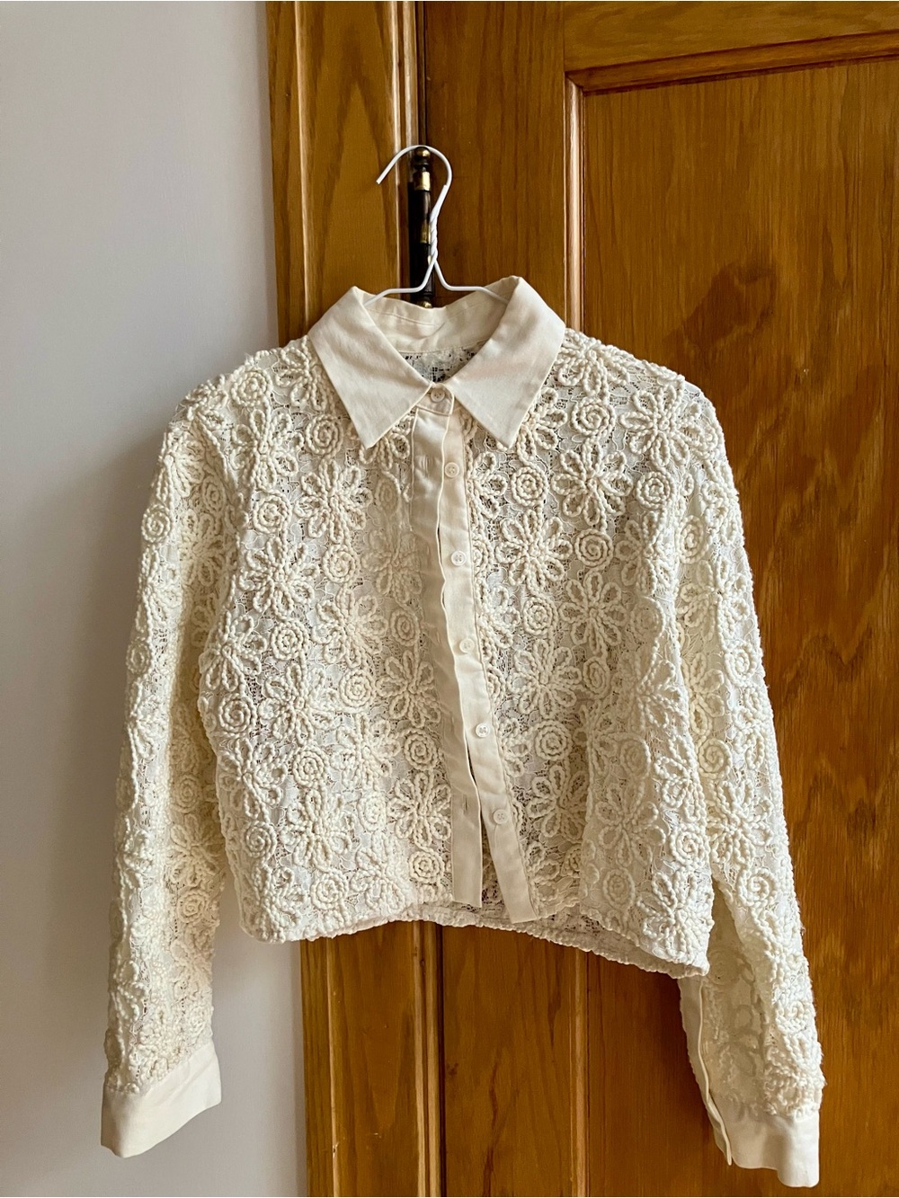 Vintage Lace Button-Front Collared Top in Cream - Picture 1 of 4